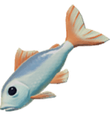 Poisson blanc des montagnes